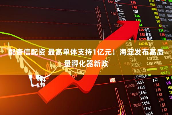 配查信配资 最高单体支持1亿元！海淀发布高质量孵化器新政